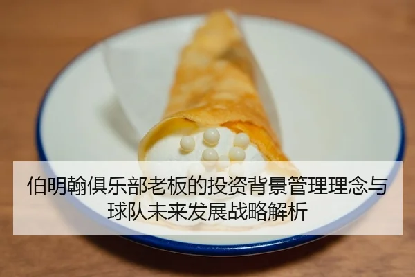 伯明翰俱乐部老板的投资背景管理理念与球队未来发展战略解析
