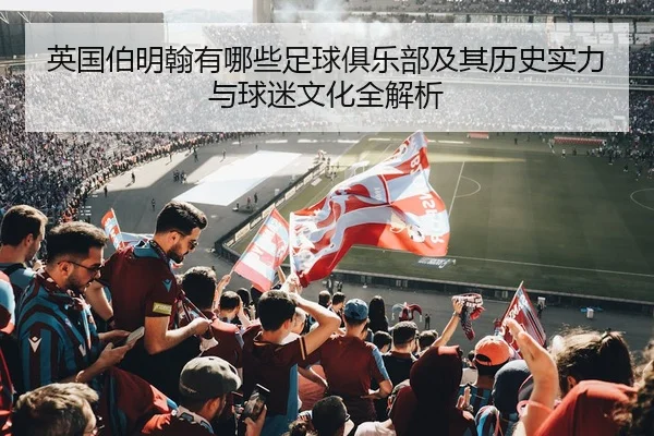 英国伯明翰有哪些足球俱乐部及其历史实力与球迷文化全解析